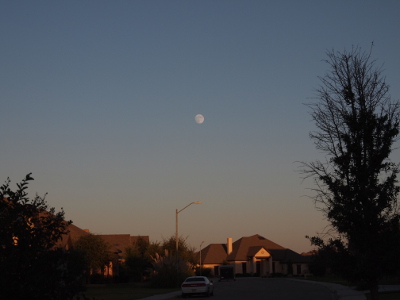 [A nearly full moon in a cloudless sky before sunset. The sun, still above the horizon, is still shining on the houses and the lightness in the sky makes the edges of the moon unsharp.]